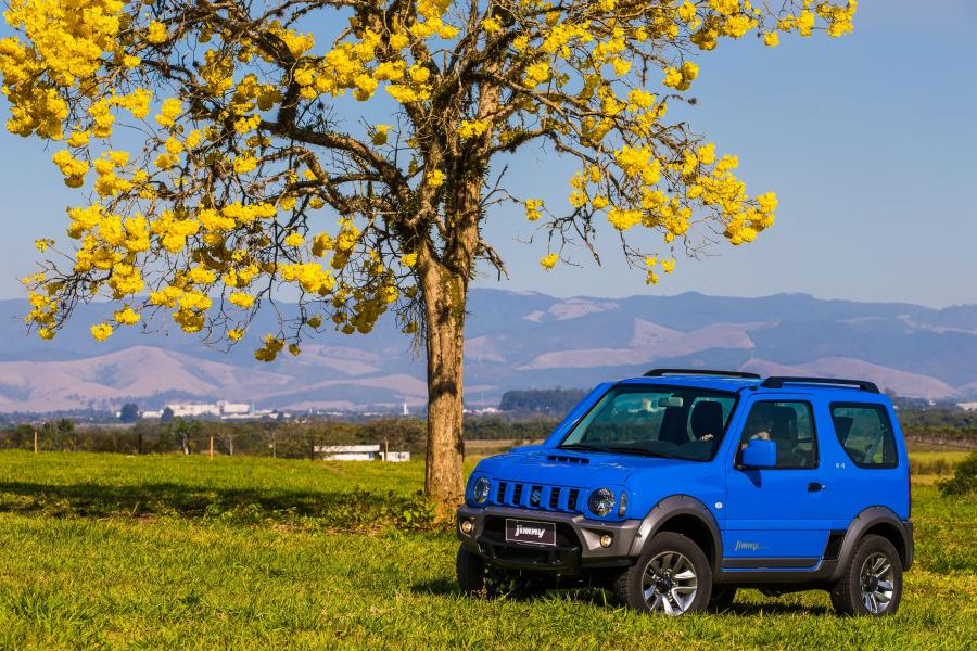  Suzuki Jimny 4SPORT (JB43) 2016 года  (фото 36 из 40)